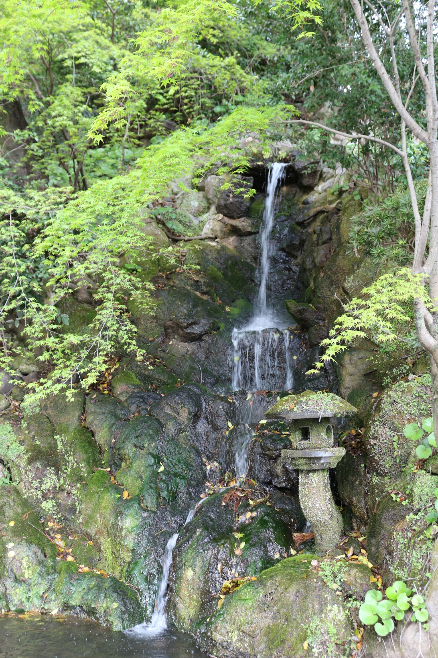 Small waterfall surrounded by lush greenery with a stone lantern