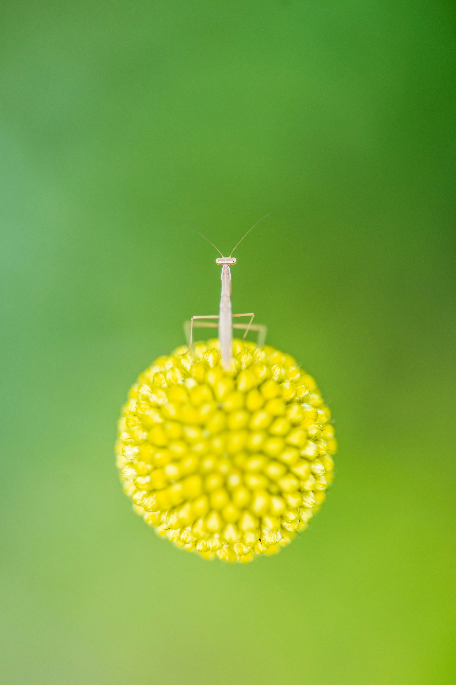 photo-JmvmnbbVmEbMErxE4Ef8-image