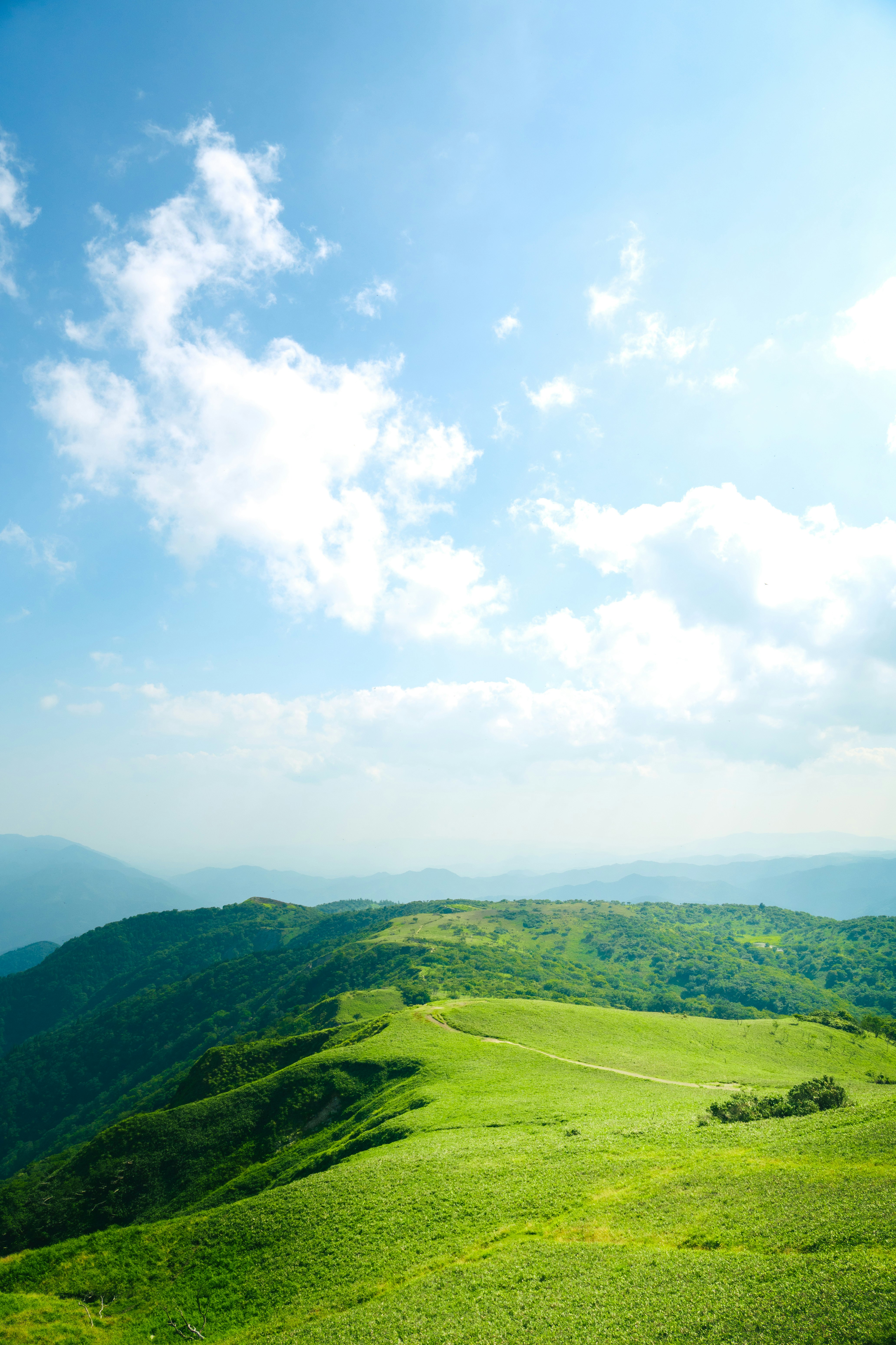 緑の丘陵と山並みが広がる自然風景