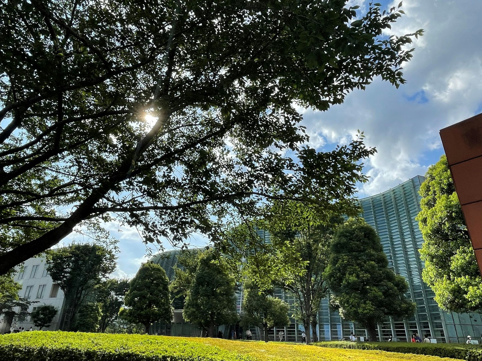 公园景观，郁郁葱葱的树木和明亮的天空