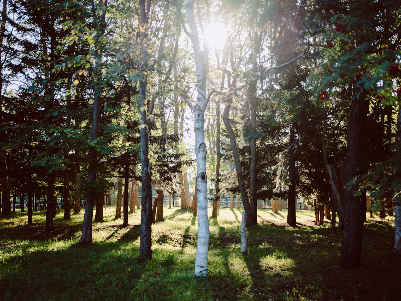 photo-JnwylhsvsRonkL67SmI2-image