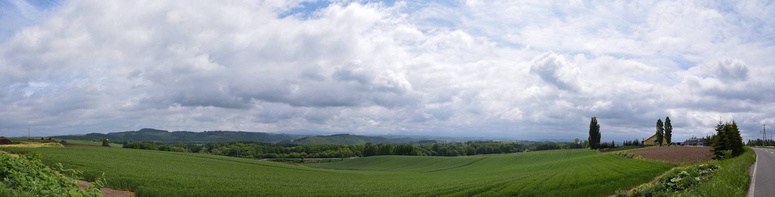 Pemandangan panorama ladang hijau di bawah langit biru yang berawan