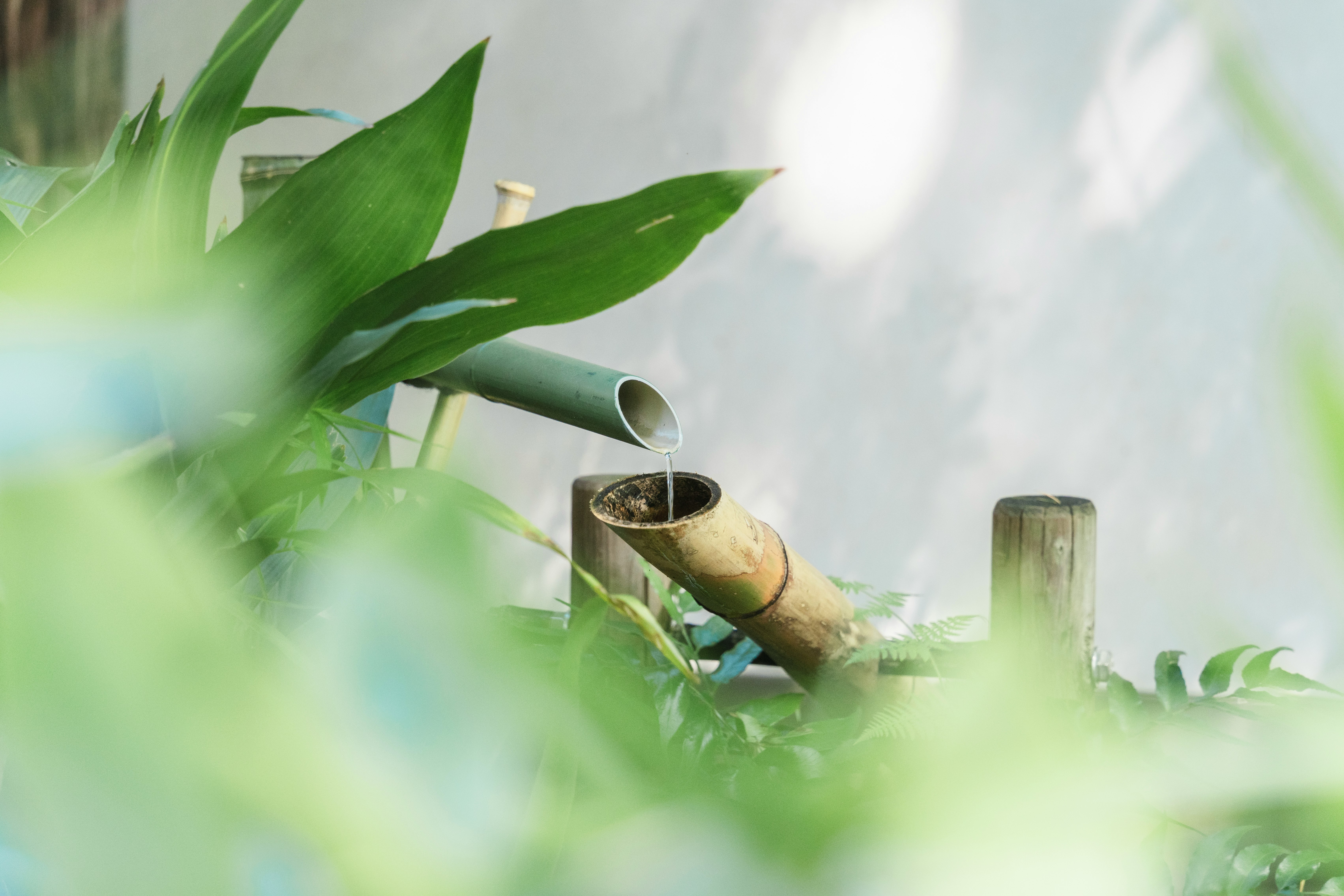 bamboo water spout pouring into a garden water basin