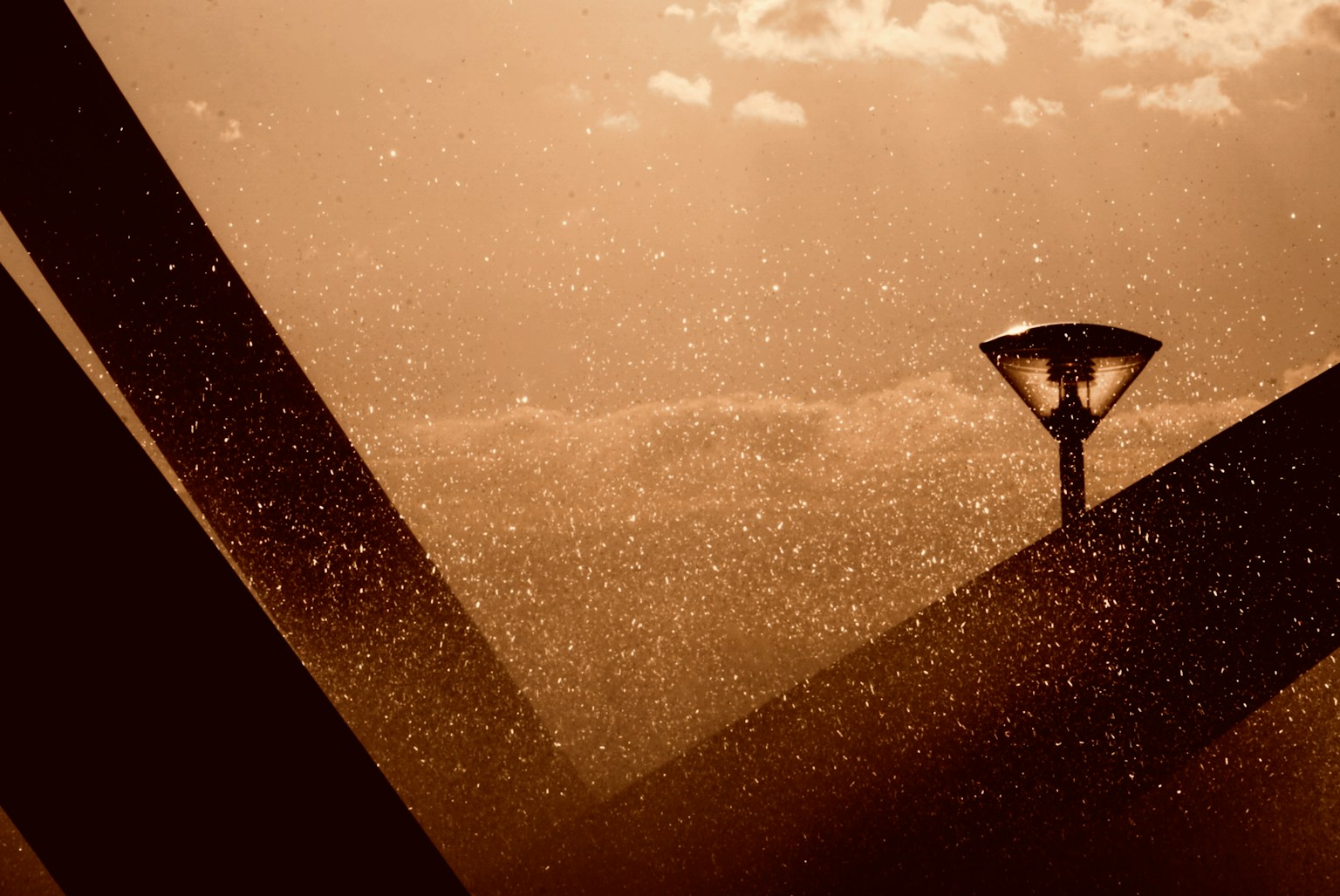 photo-JoccdUyrK3MPg5mX4zwP-image