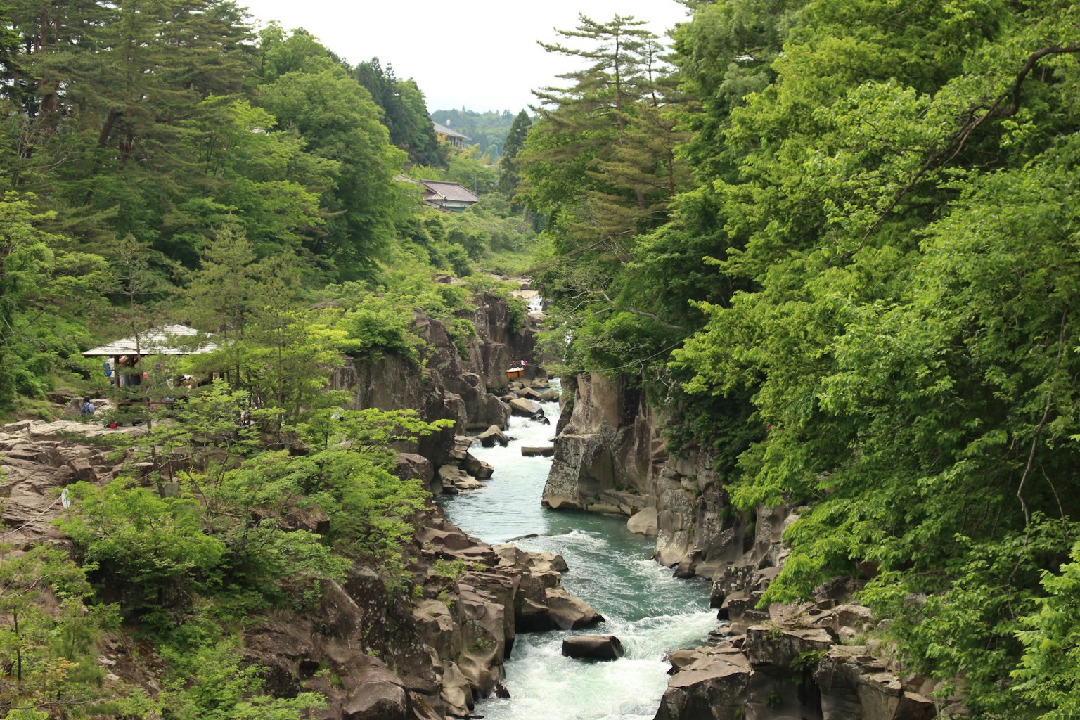 Malersiche Aussicht auf eine Schlucht mit einem fließenden Fluss umgeben von Grün
