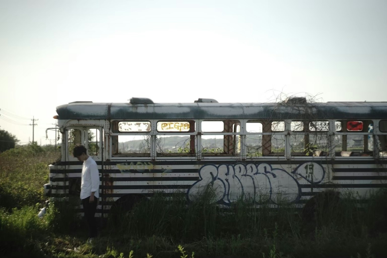 Una persona de pie junto a un autobús cubierto de graffiti en un campo de hierba