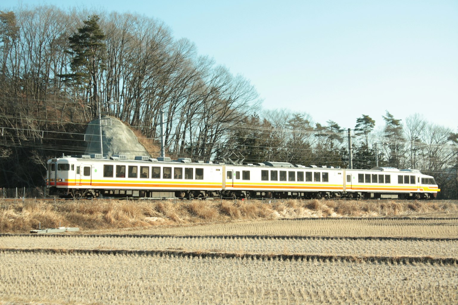 Un treno giallo e bianco che corre lungo un campo di riso