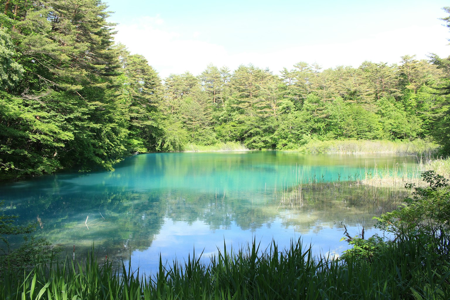 Un hermoso lago con una superficie azul que refleja árboles verdes
