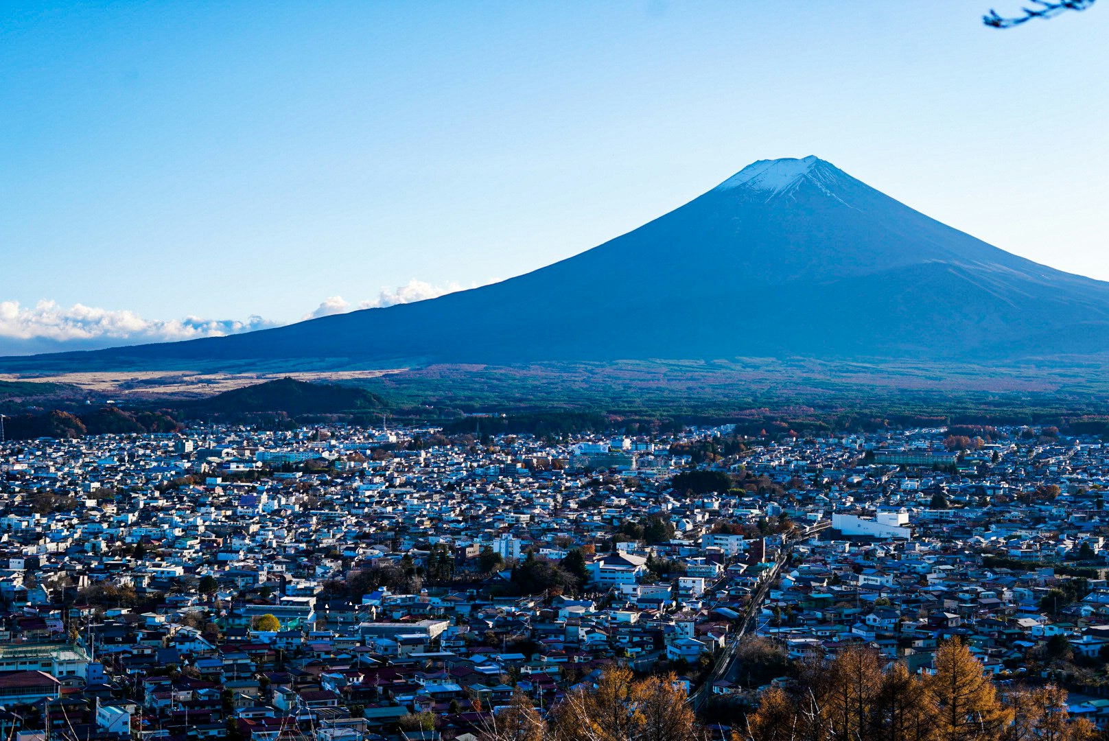 遠眺富士山的城市全景