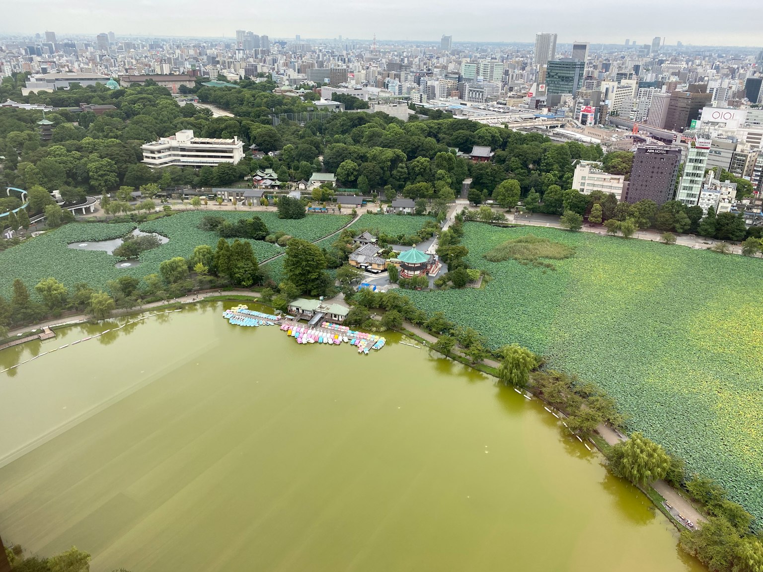 東京公園和城市景觀的鳥瞰圖