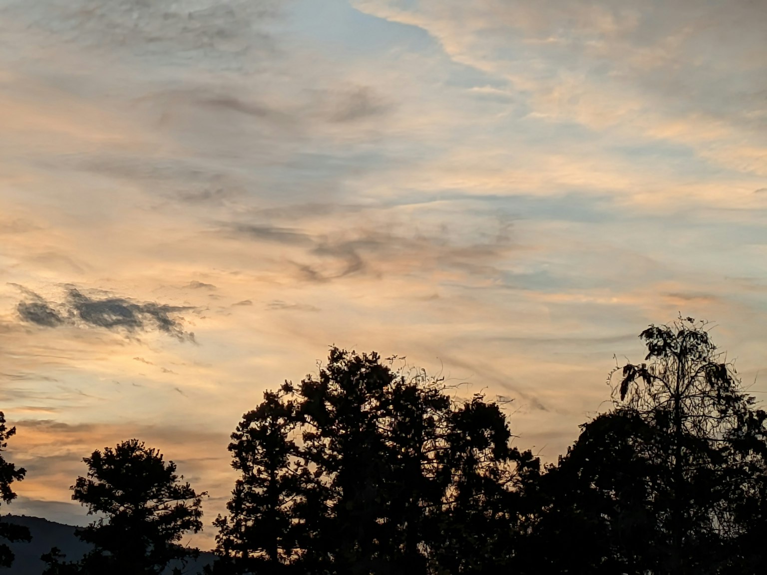 Langit senja dengan pohon siluet