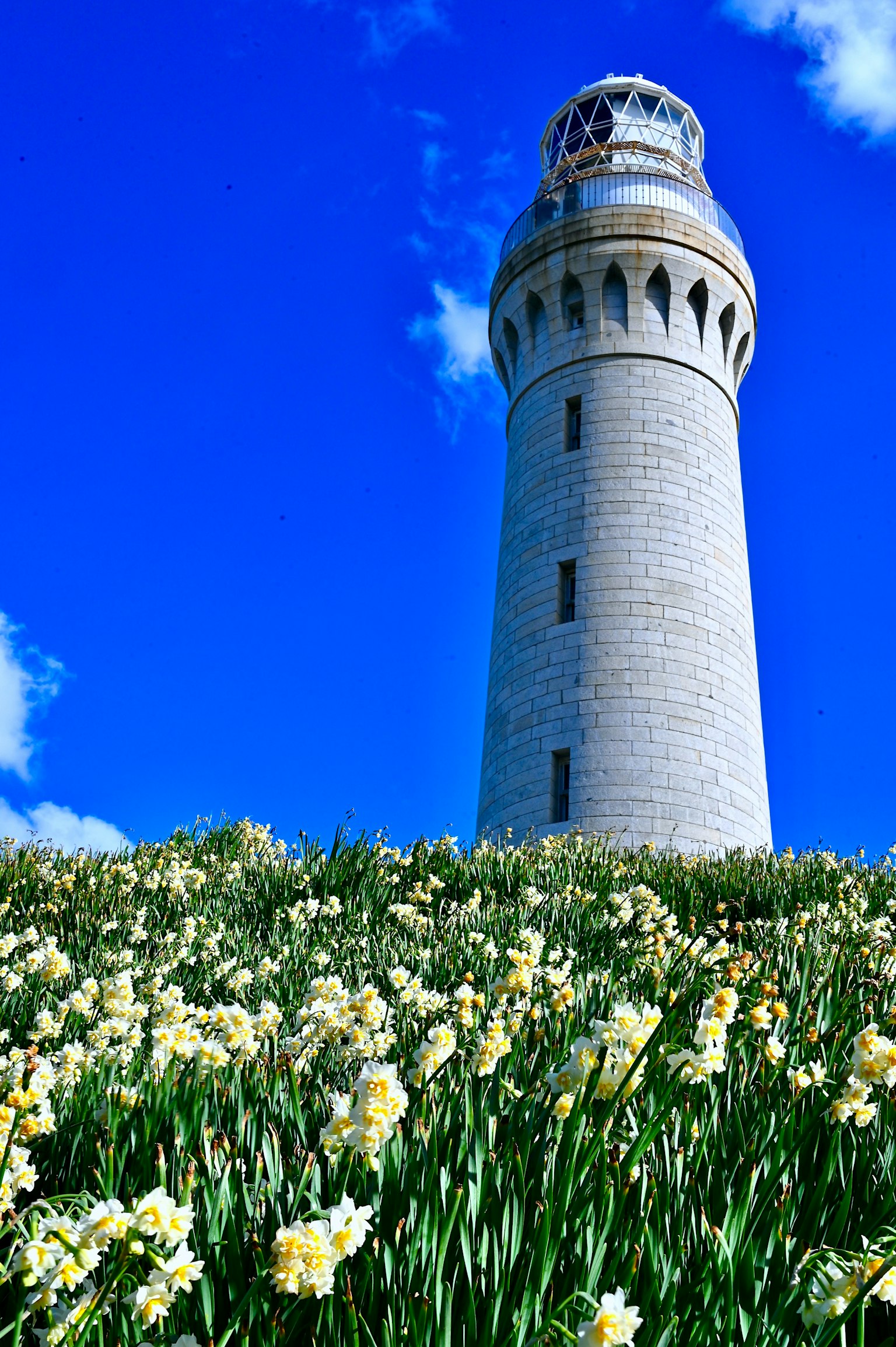 Un faro blanco de pie bajo un cielo azul con un campo de flores amarillas