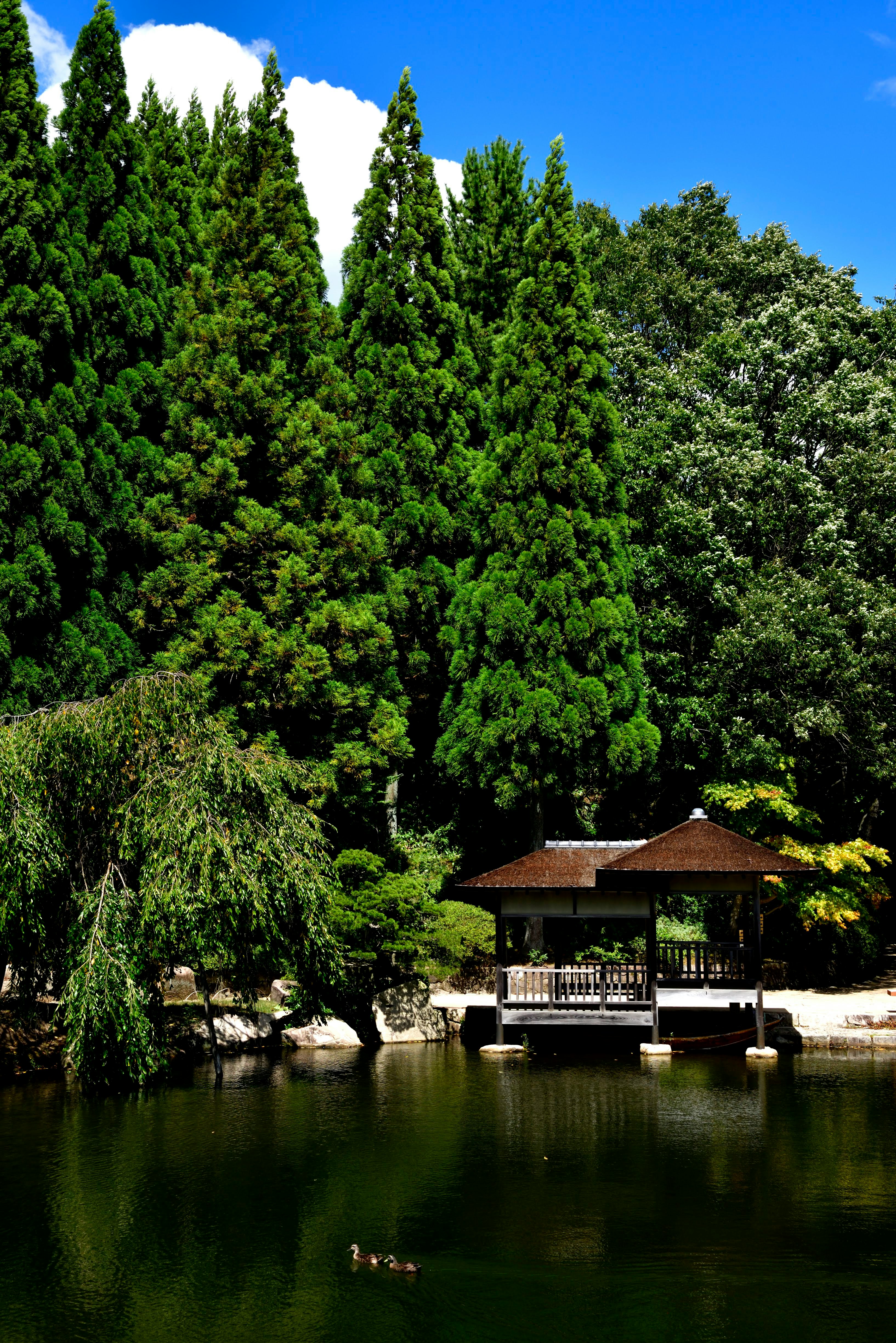 池のほとりに建つ木造の小屋と緑の森
