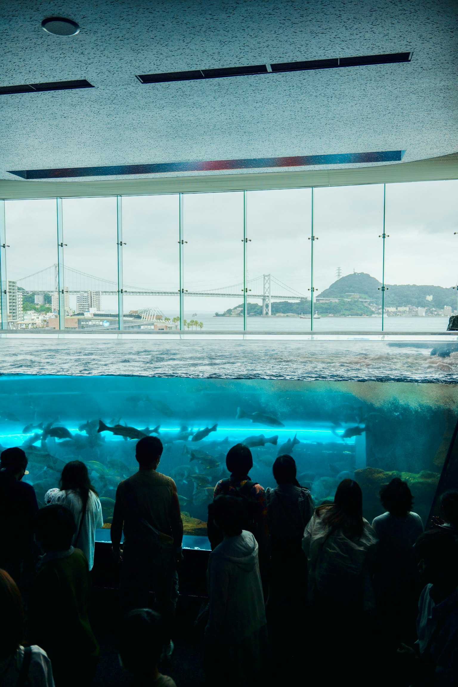 Persone che osservano pesci nuotare in un acquario blu attraverso grandi finestre