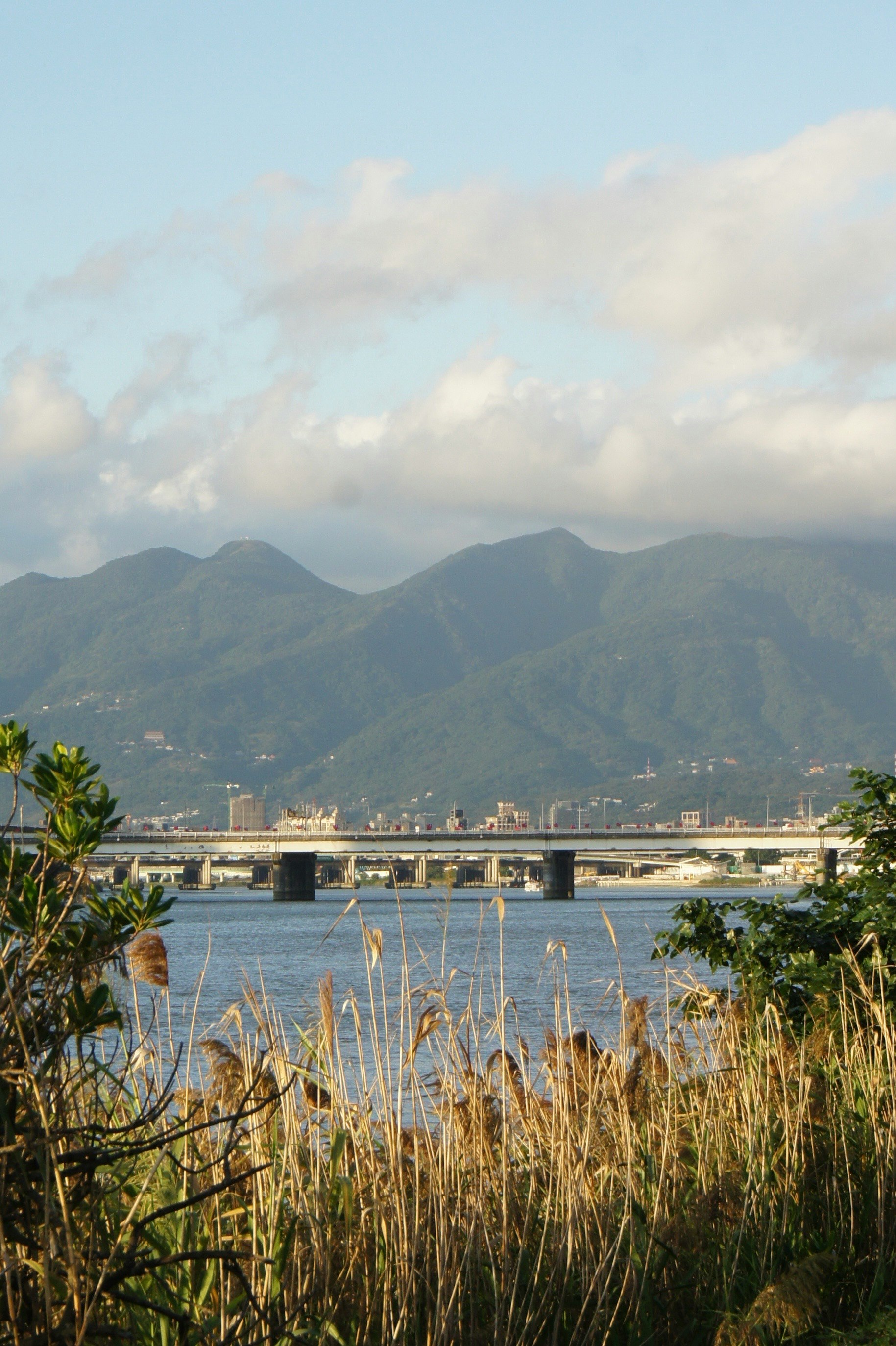 川沿いの草むらと山並み、橋のある風景