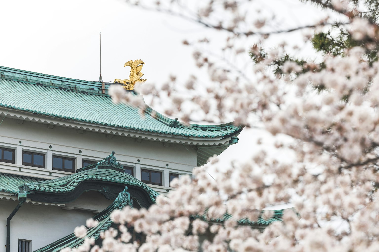 被櫻花圍繞的傳統日本建築的一部分