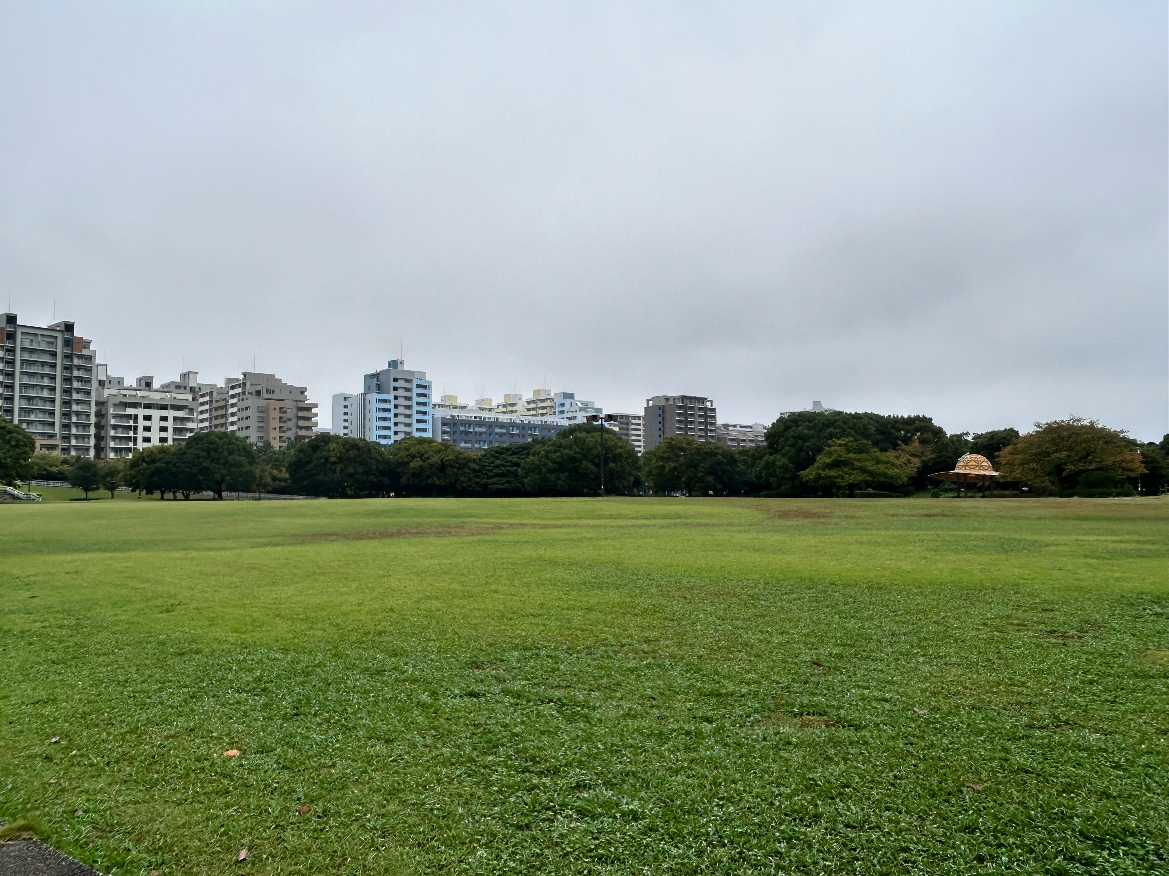 A quiet park with wide green grass after rain