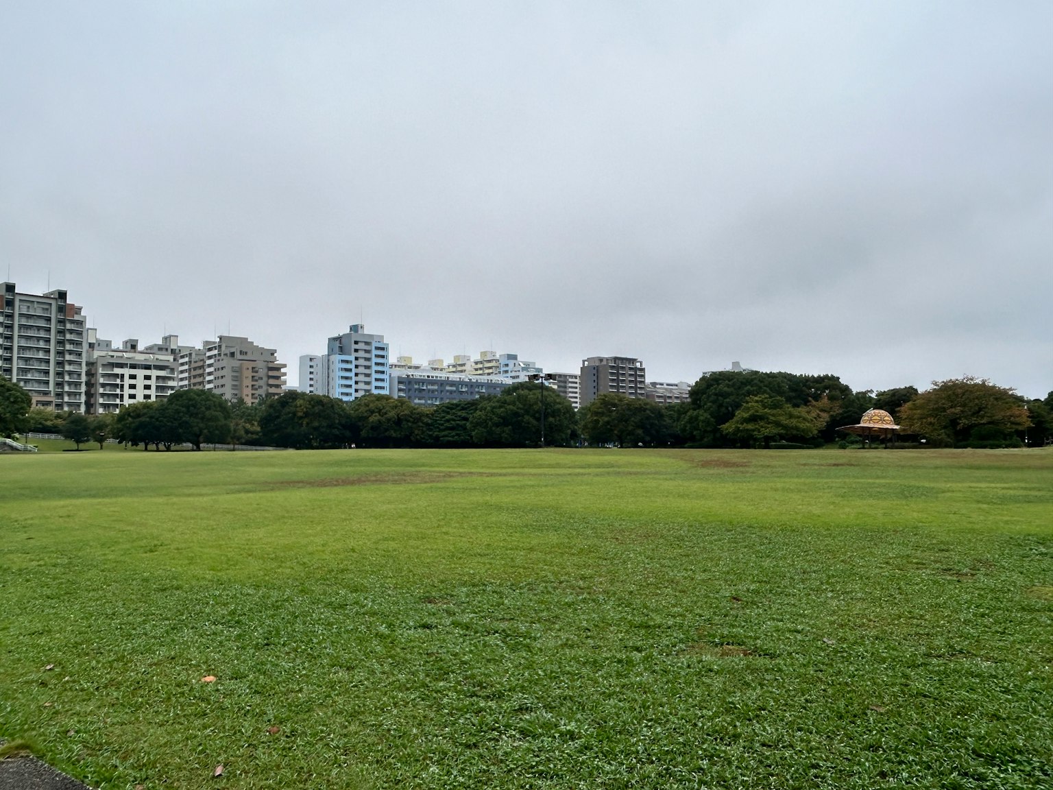 寬敞的公園被高樓大廈和陰雲密布的天空環繞