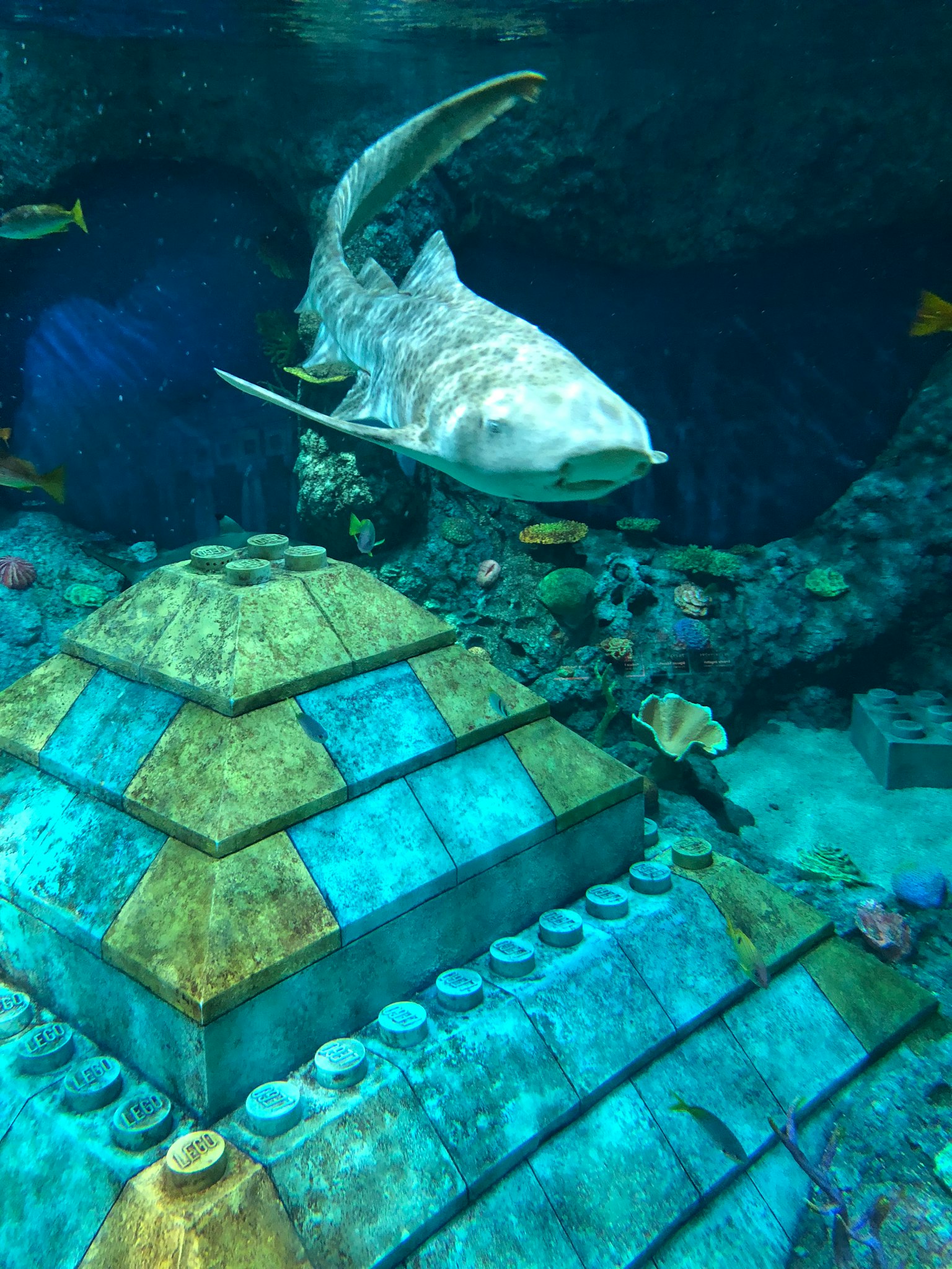 Unterwassermonument mit einem Fisch, der in der Nähe schwimmt