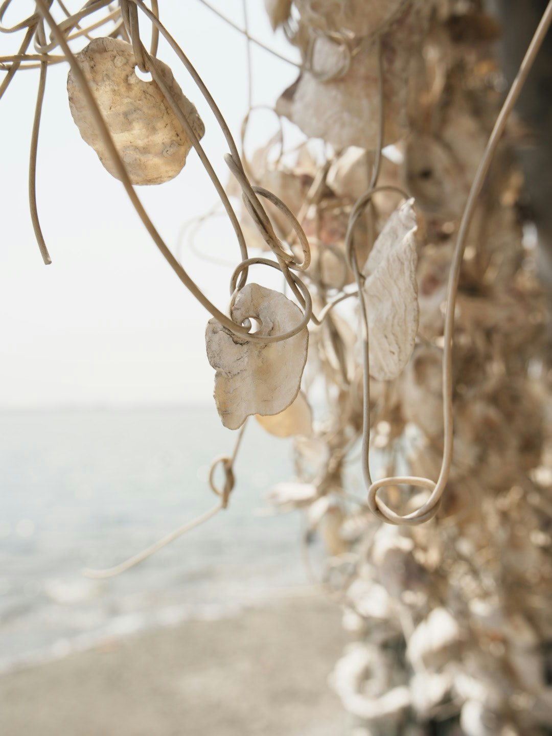 rustic paper tags hanging on twine against a white background
