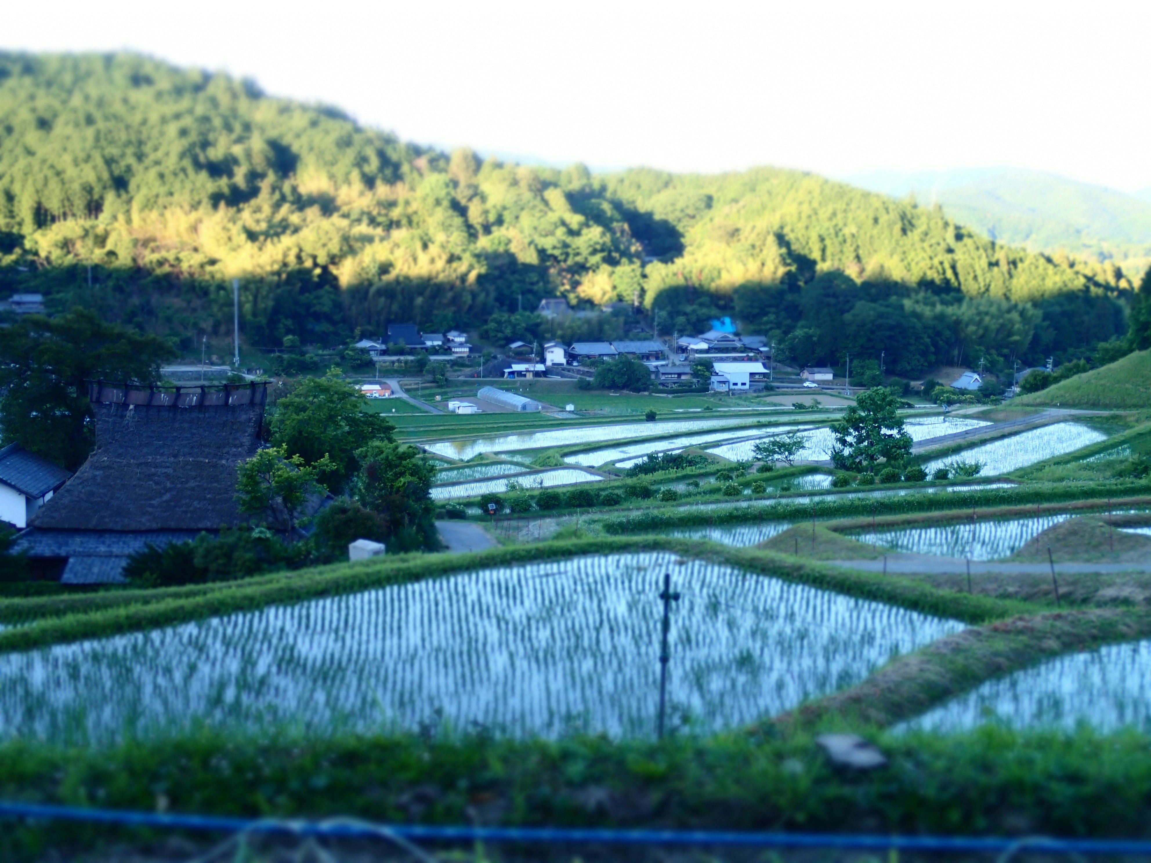 棚田と小川が流れる山あいの田園風景