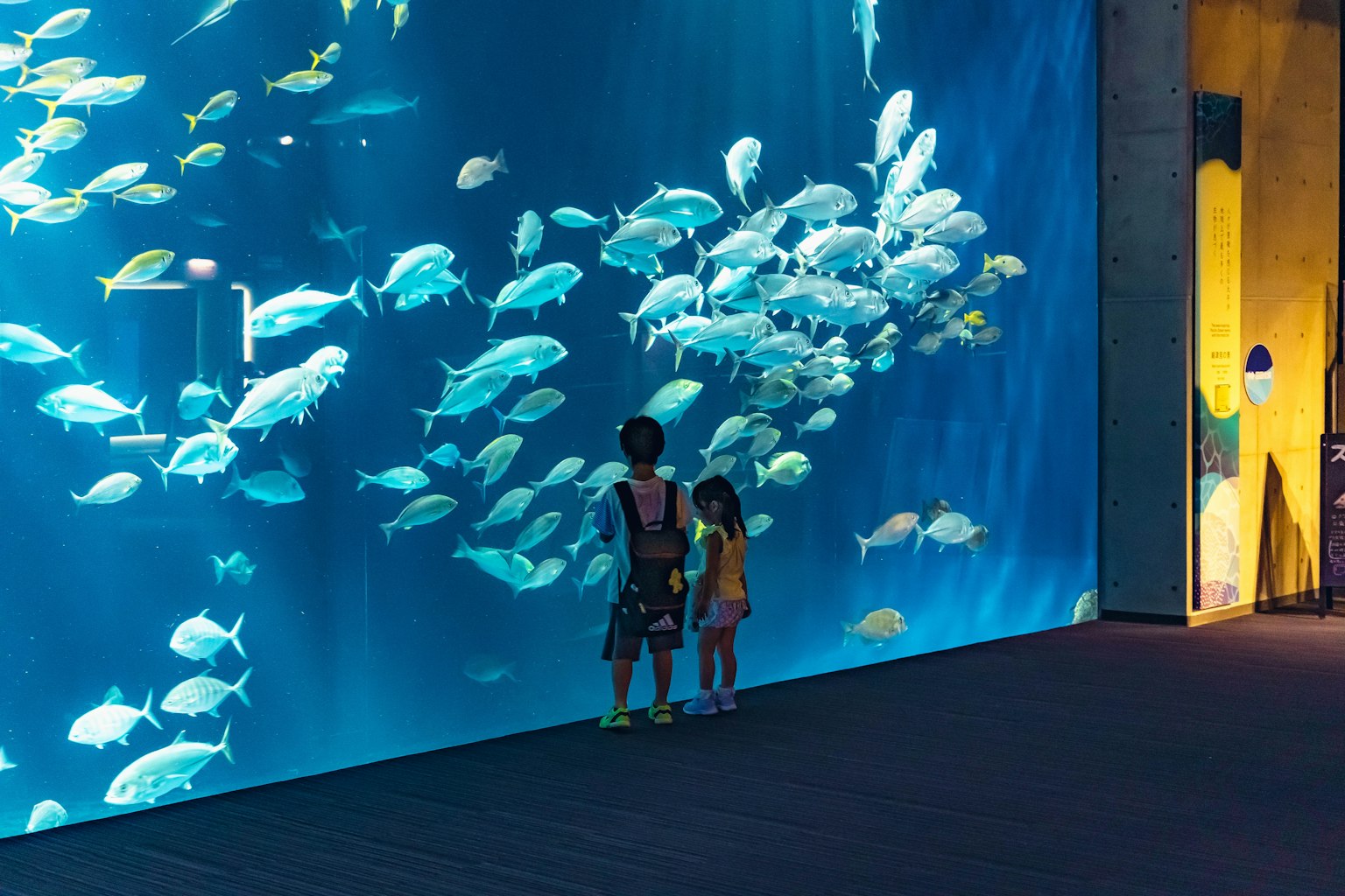Children watching a large aquarium wall filled with colorful fish