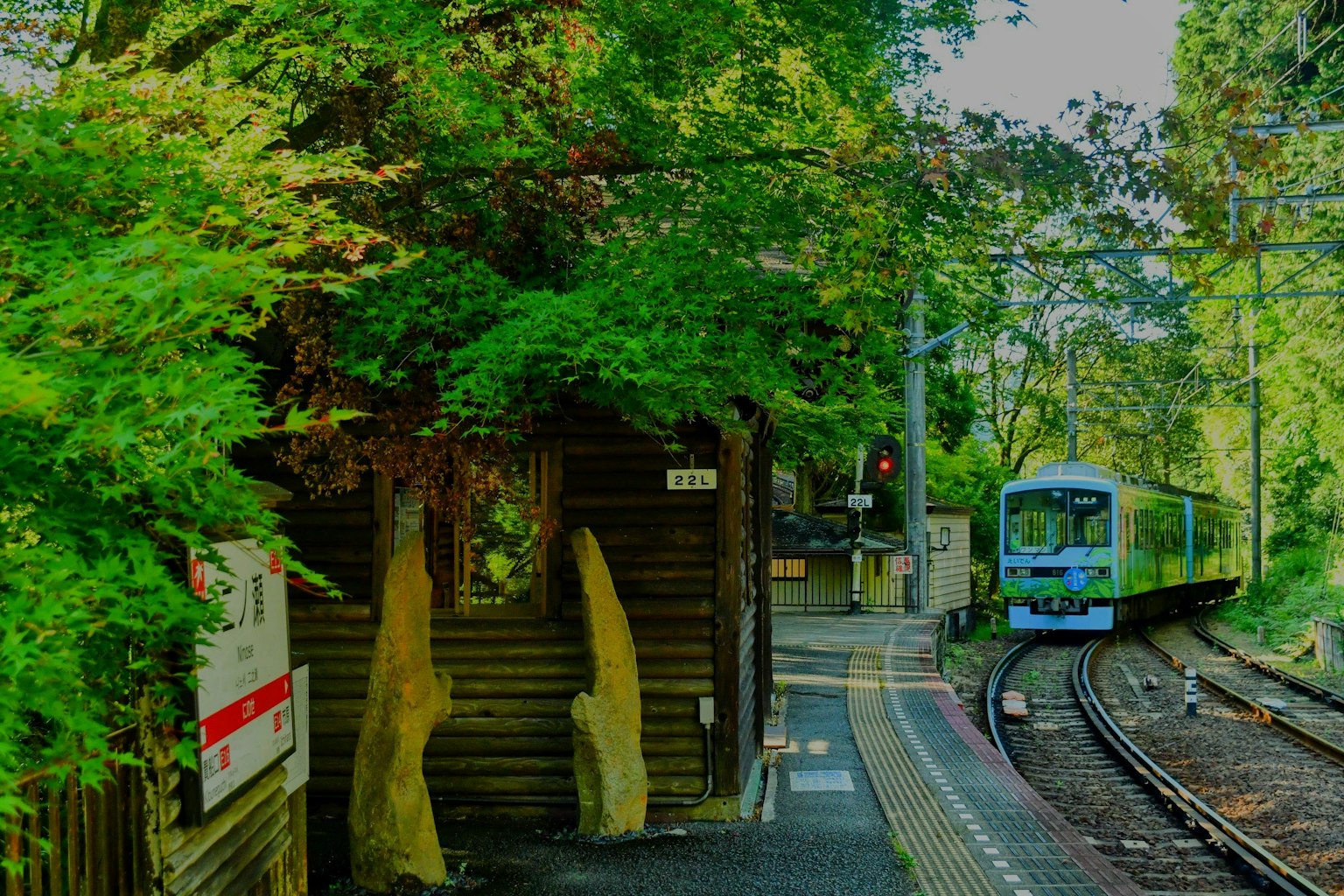 สถานีรถไฟที่มีต้นไม้เขียวขจีและรถไฟสีน้ำเงิน