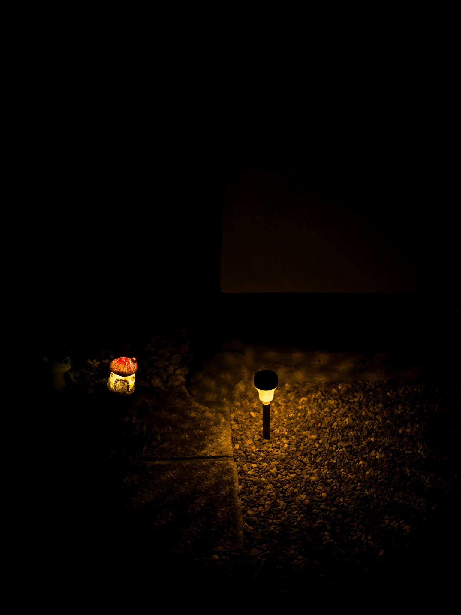 photo-JutXPUgKKz6MaP18Mlat-image