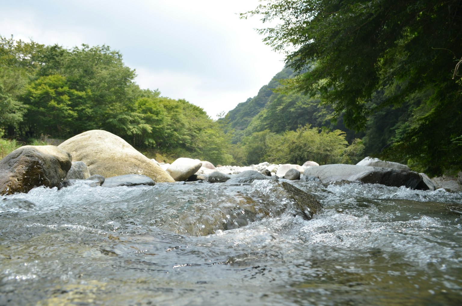 Naturlandschaft mit fließendem Wasser und Steinen
