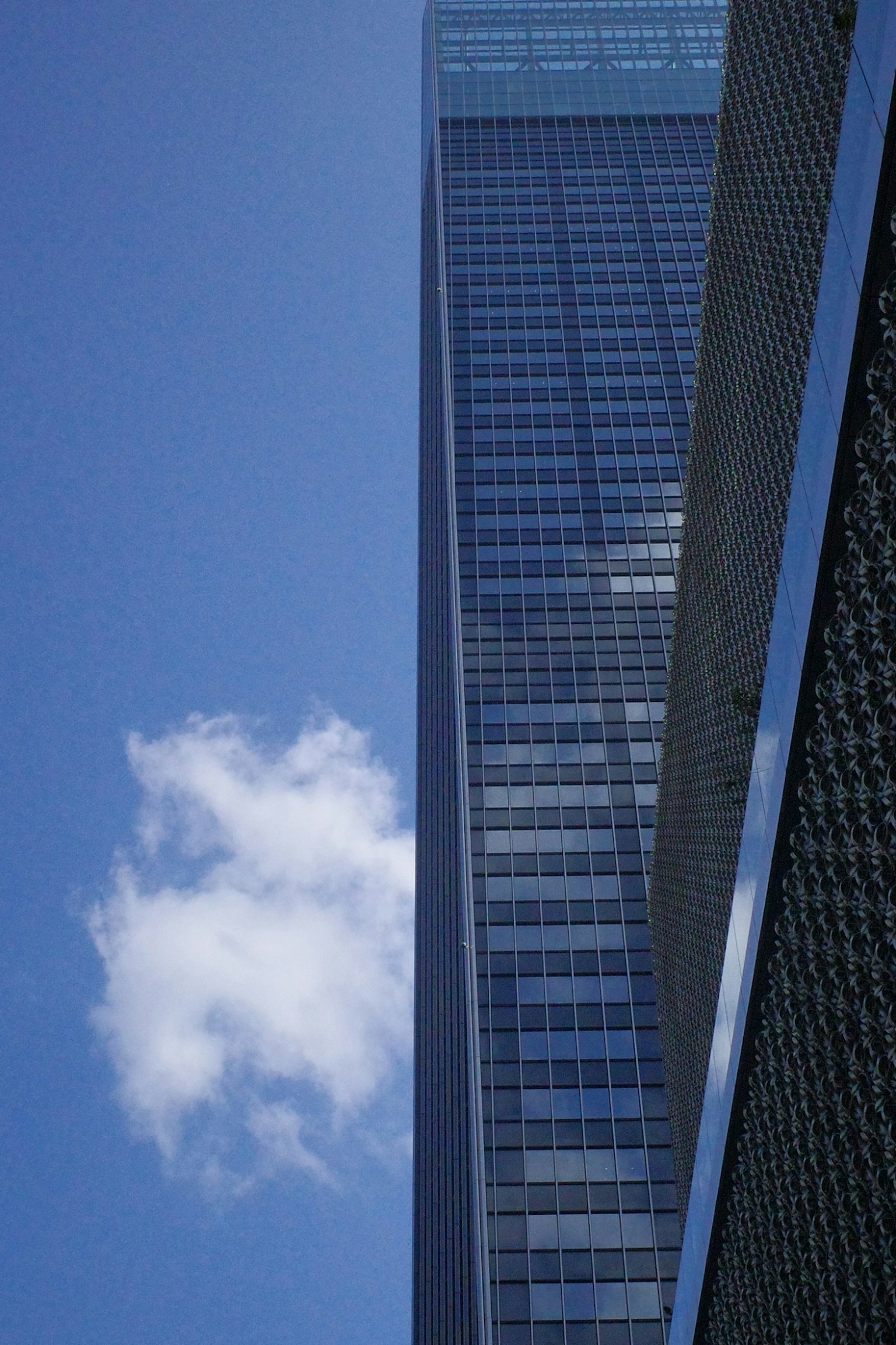 青空の下にそびえる高層ビルの側面と雲