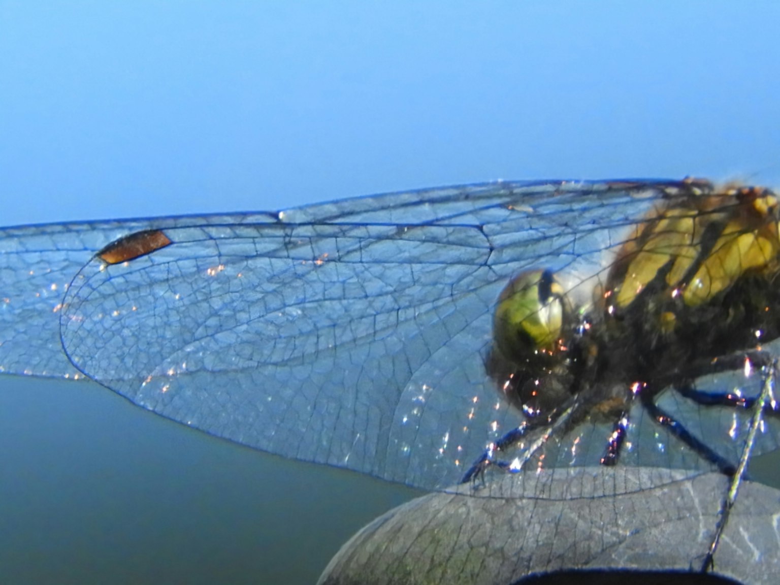 photo-JvYRj6y1H3makISRZl8g-image