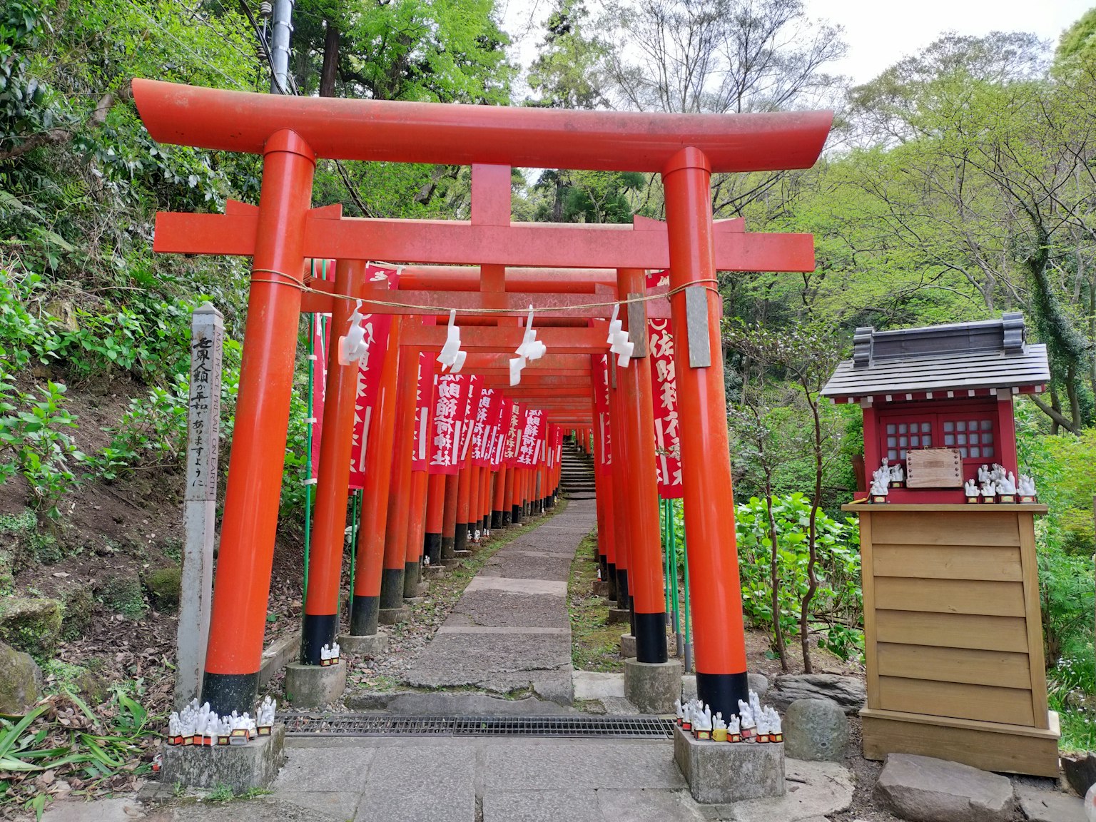 Con đường có các cổng torii đỏ và một ngôi đền nhỏ