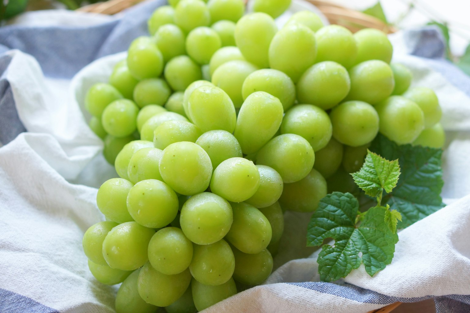 Un grappolo di uva verde posato su un tessuto bianco