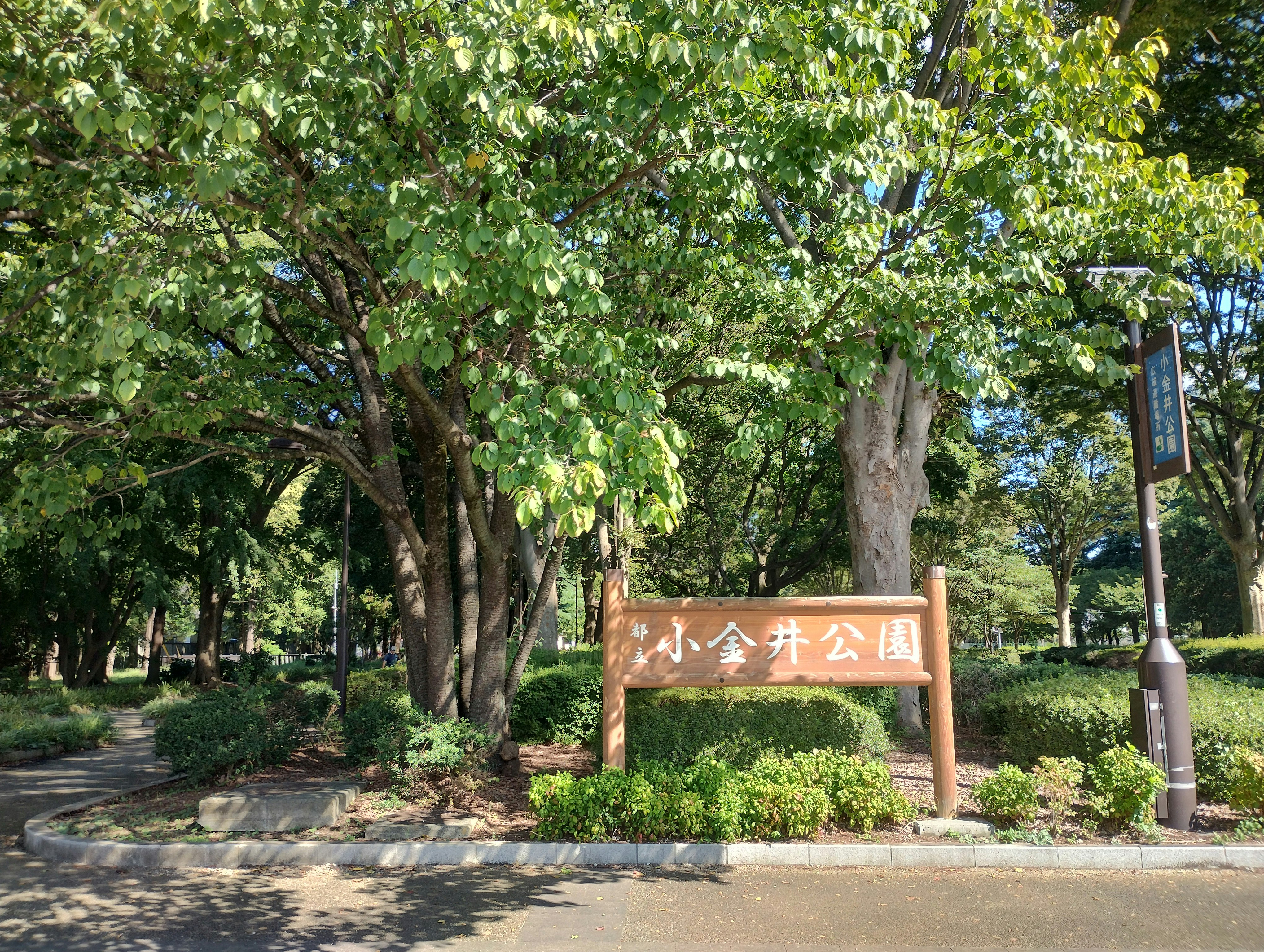 Entrance sign for Koenji Park surrounded by trees