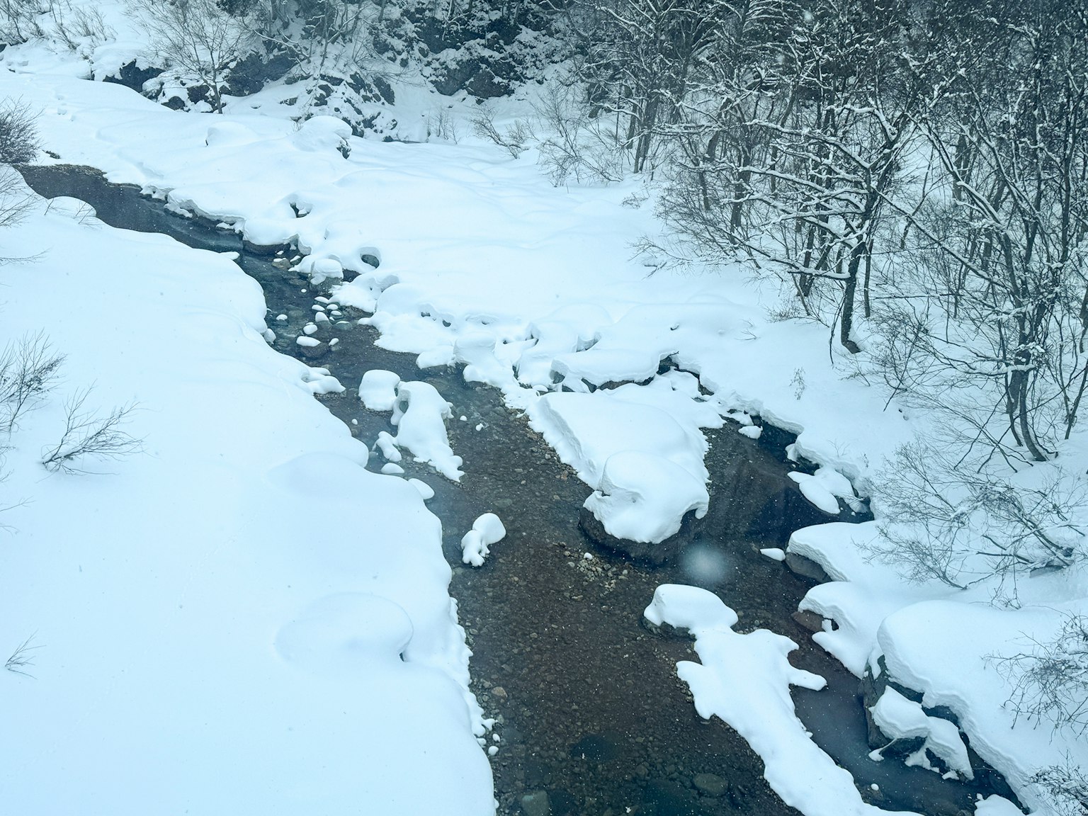 被雪覆盖的河流和周围的树木