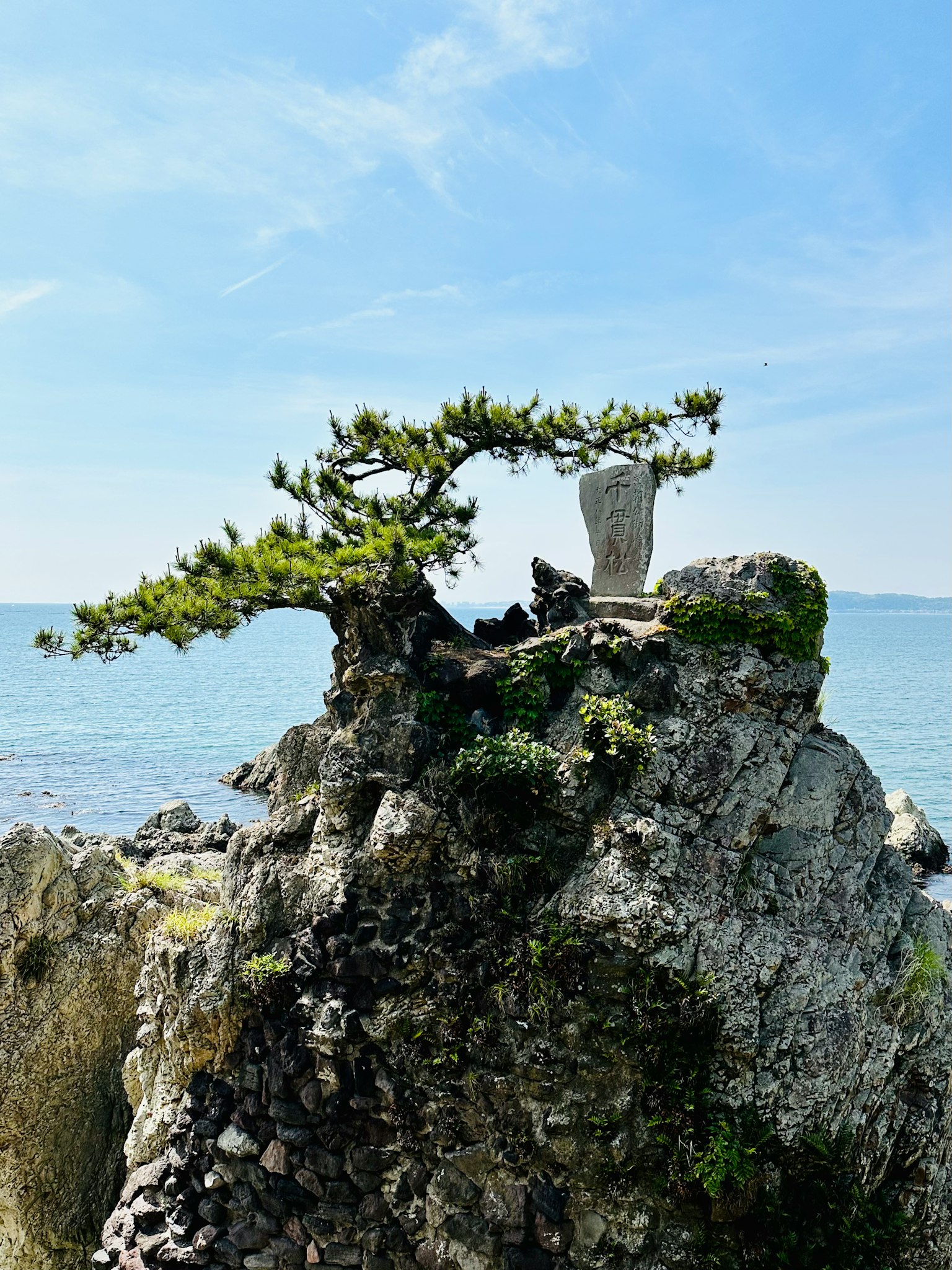 Arbre de pin et monument en pierre sur un rocher face à la mer