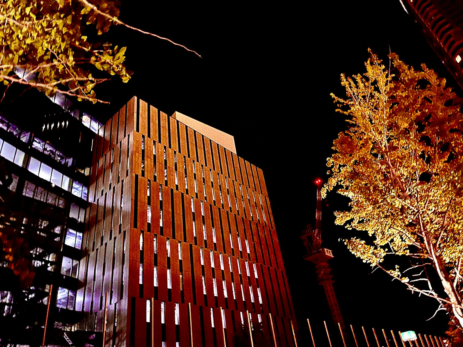 Photo mettant en valeur le contraste entre les bâtiments urbains et les arbres la nuit