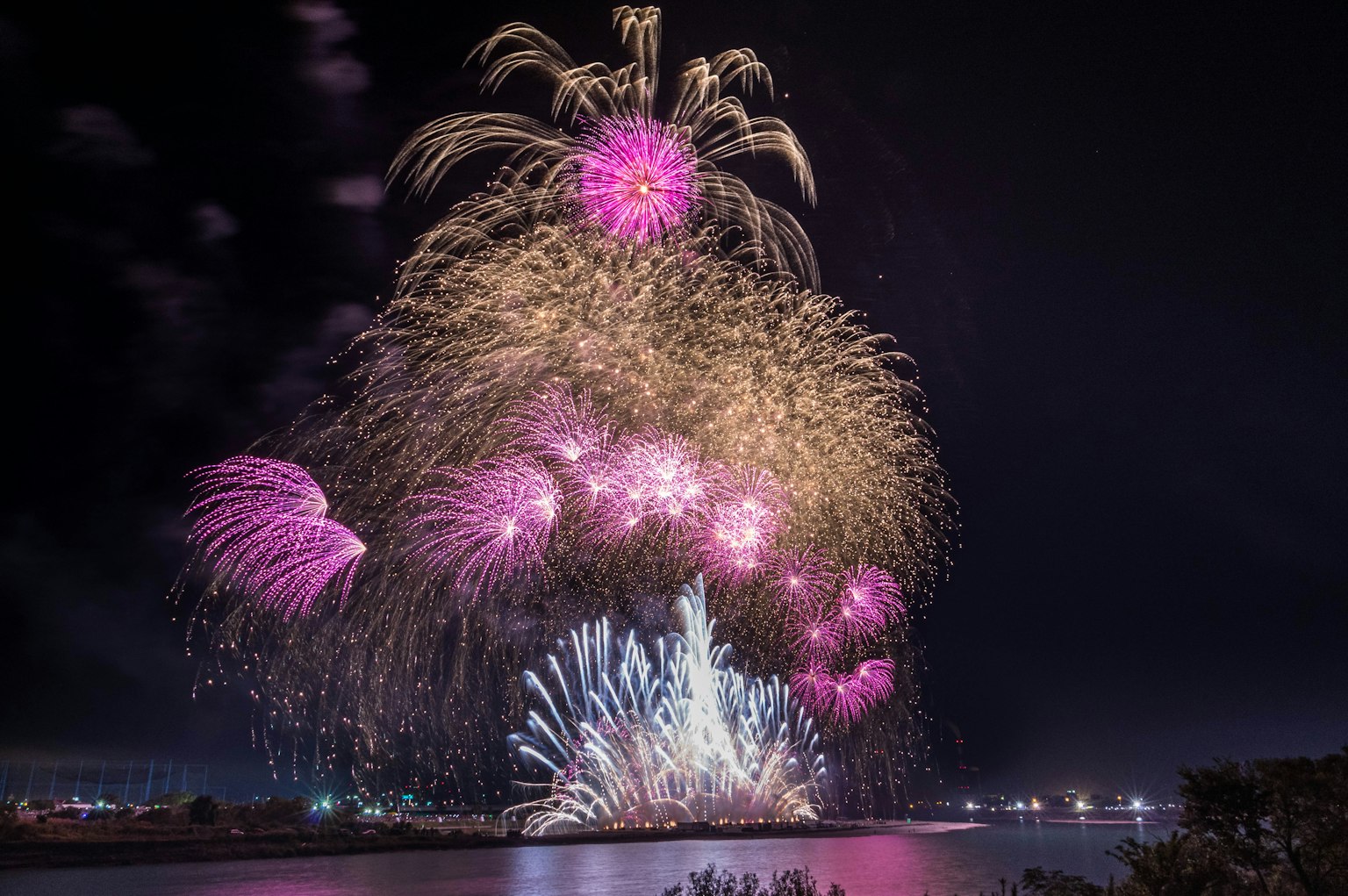 Colorful fireworks display in the night sky featuring vibrant pink and gold sparks