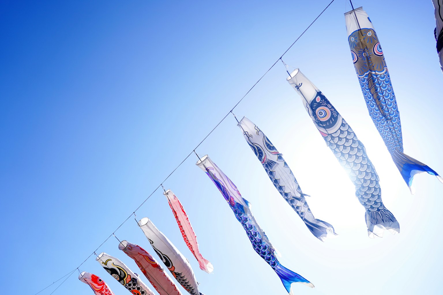Colorati koinobori che sventolano contro un cielo blu