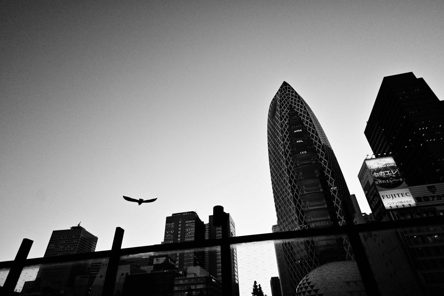 Horizonte urbano al atardecer con un pájaro volando