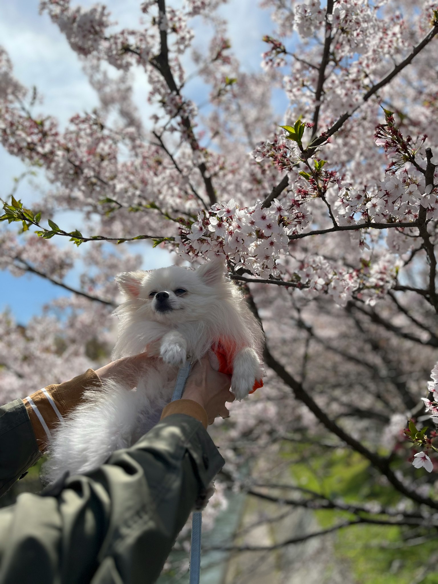 photo-JxTVRxTxX8TwwB3tNaqP-image