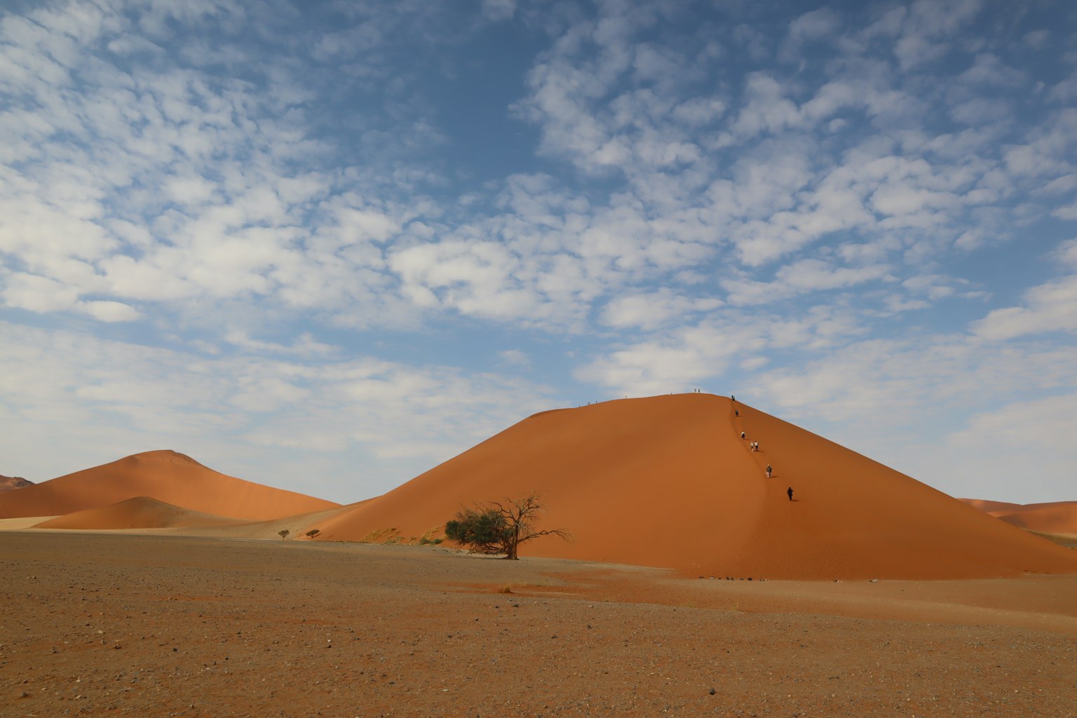Vaste dune di sabbia arancione sotto un cielo blu in un paesaggio desertico