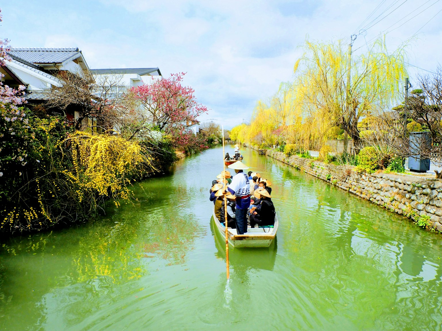 Un bote navegando por un canal verde rodeado de árboles en flor