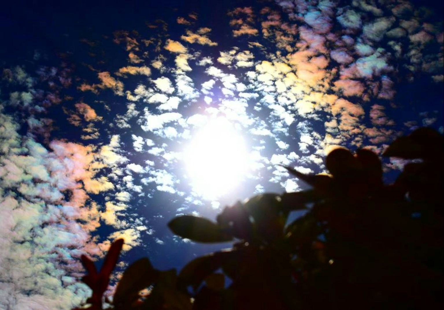 Vibrant clouds illuminated by sunlight against a deep blue sky