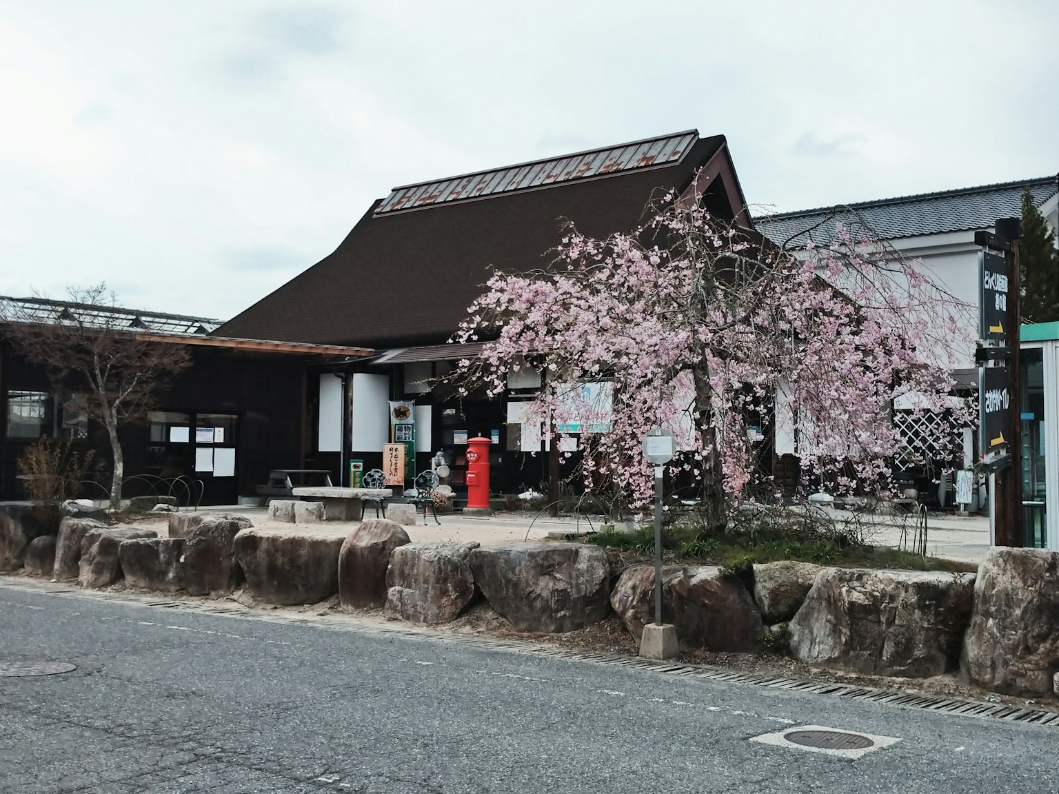 傳統日本建築與櫻花樹
