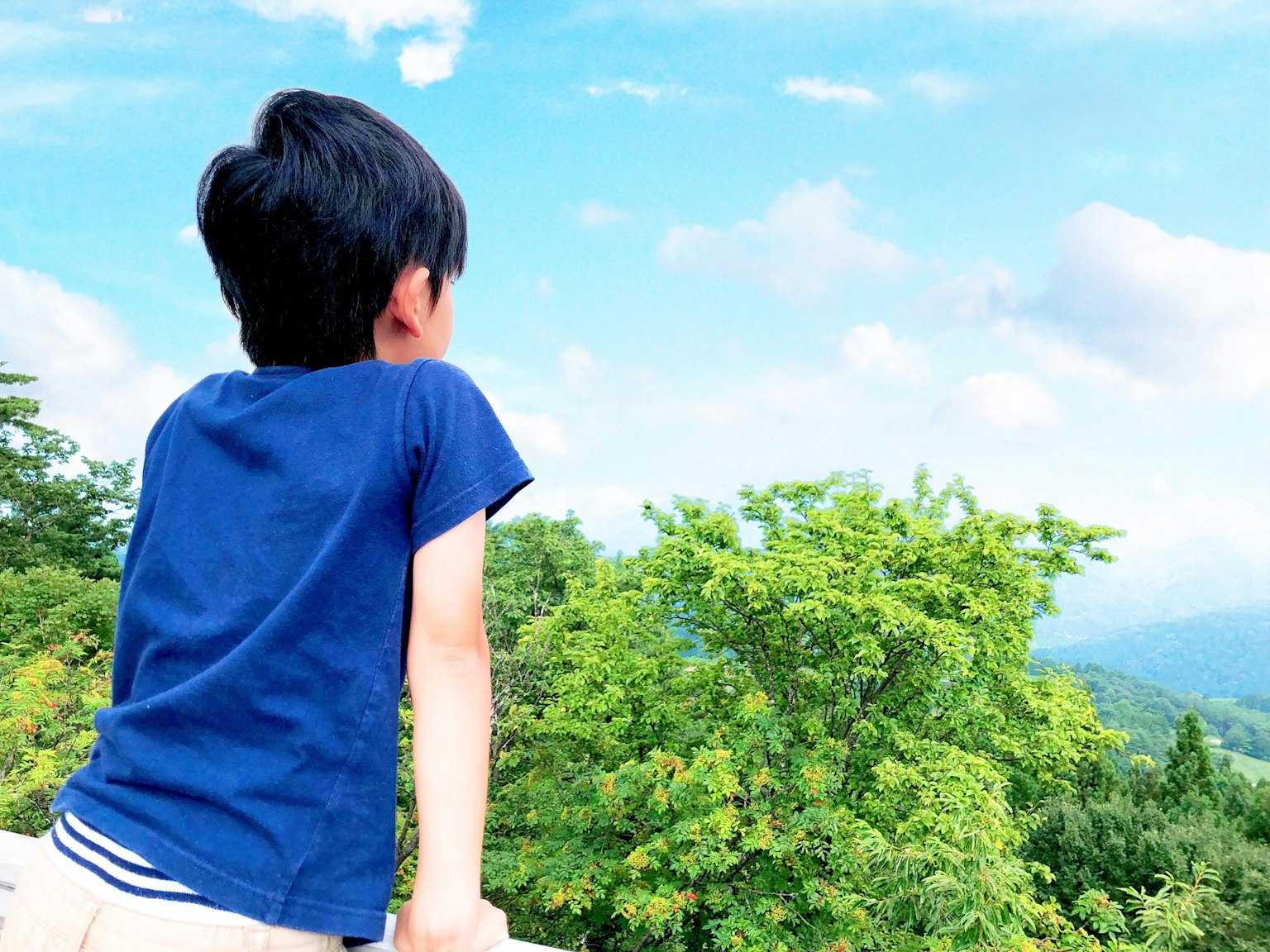 A child in a blue shirt looking at green trees and a blue sky