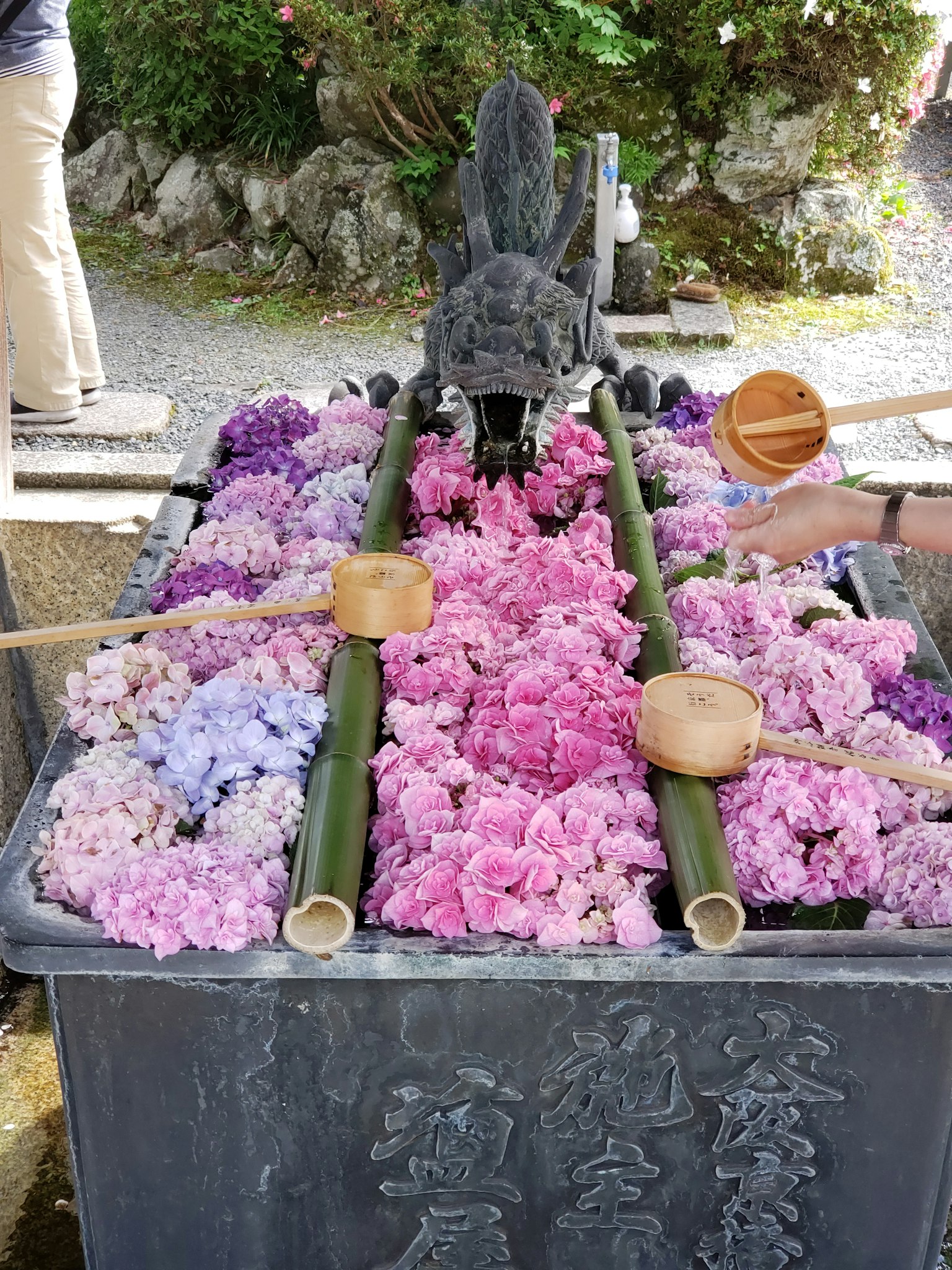 Fiori colorati che galleggiano in una vasca d'acqua con mestoli di bambù