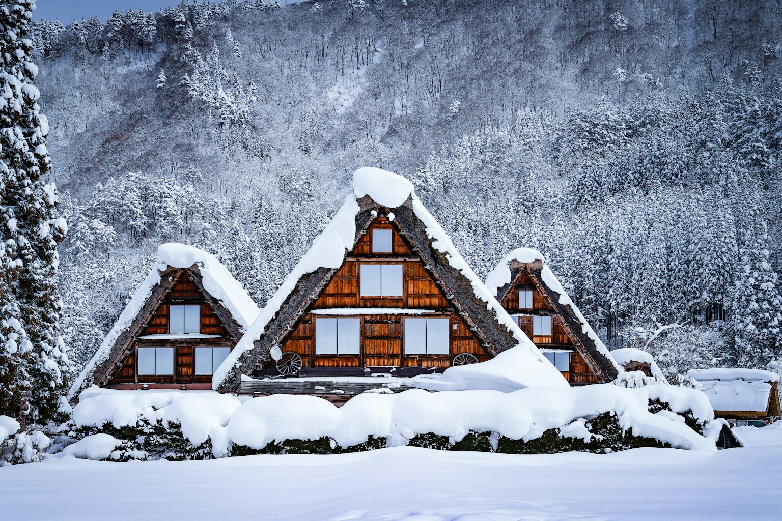 photo-JzPwhusvomi4hGyP0lYw-image