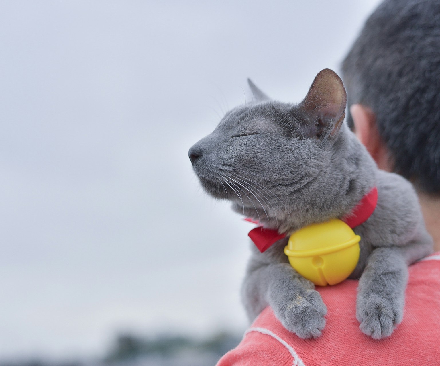 photo-Jzur2DA3Y0E1nXypVgU7-image