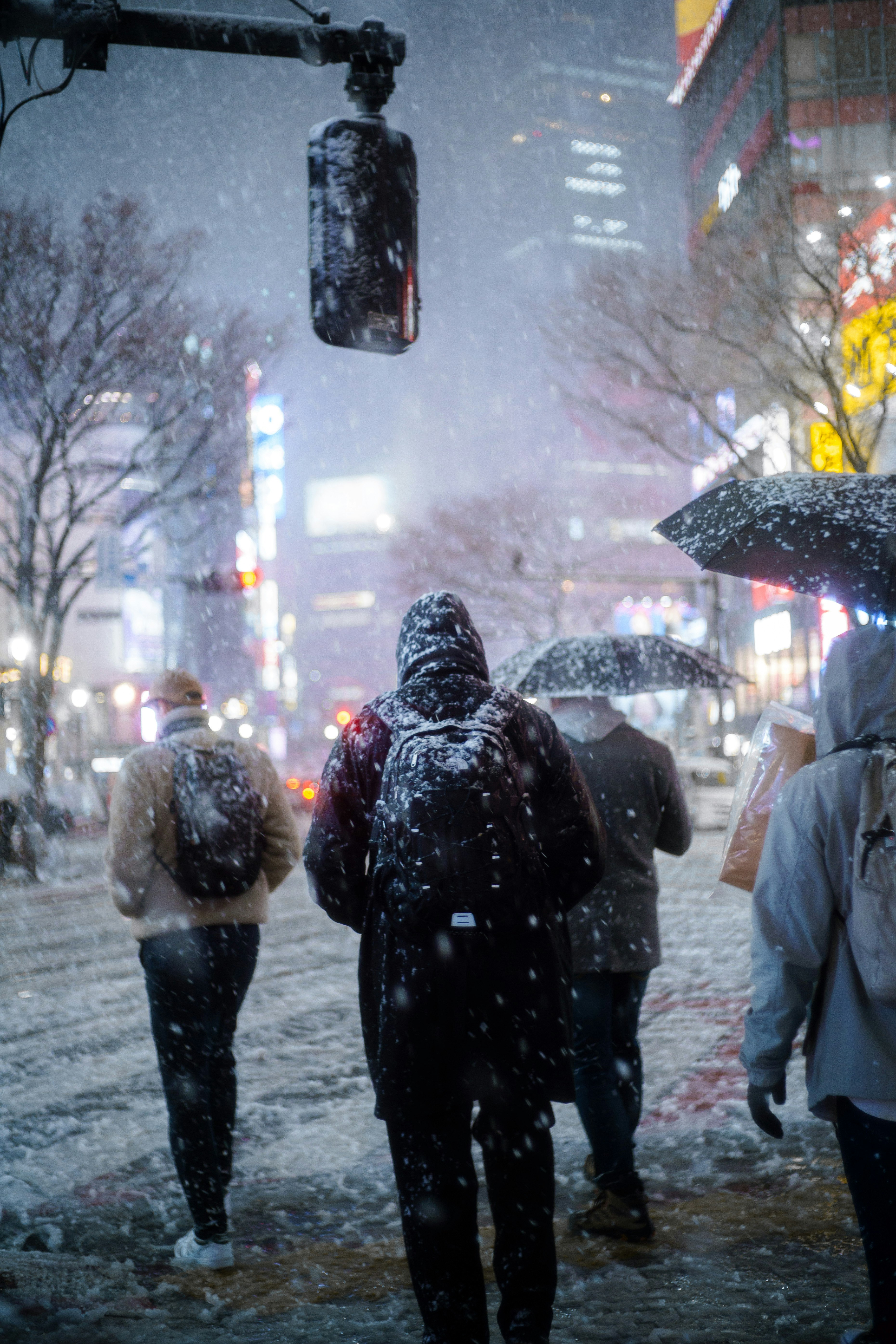 下雪的城市街道上撑伞行走的人们